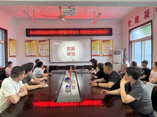 集中观看警示教育片《持续发力纵深推进》主题党日活动