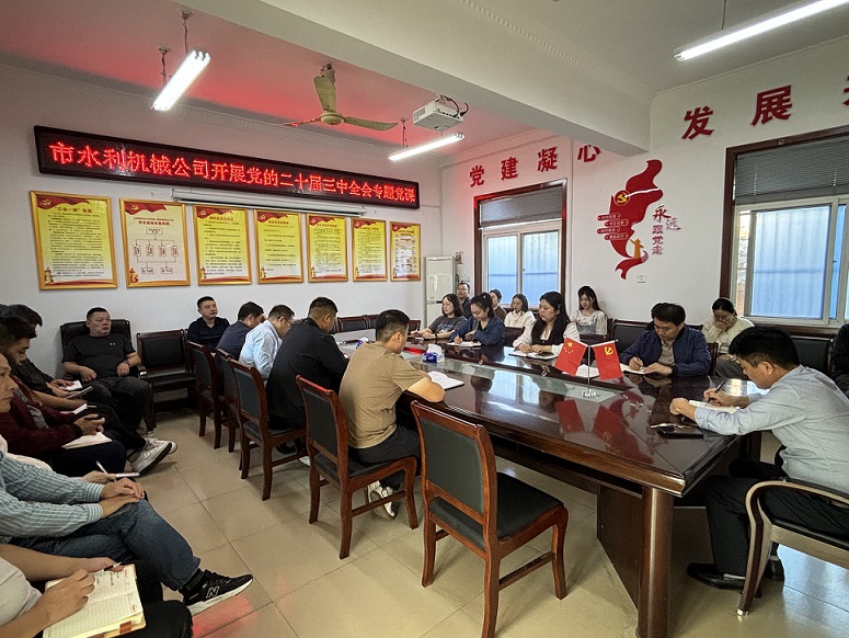 组织开展党的二十届三中全会专题党课